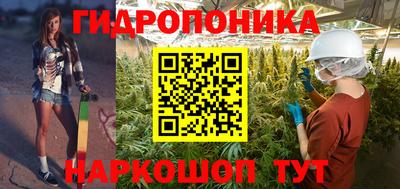 СК Краснознаменск