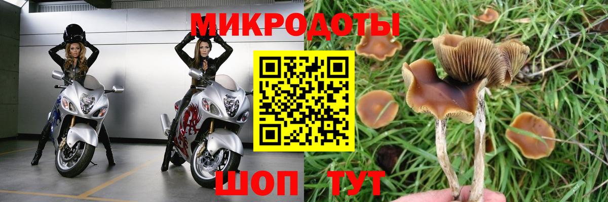 Псилоцибиновые грибы MAGIC MUSHROOMS Жигулёвск