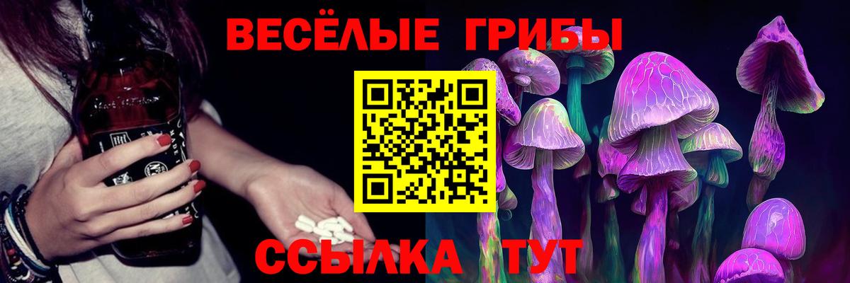 Галлюциногенные грибы MAGIC MUSHROOMS  Галлюциногенные грибы Psilocybe  купить   Вход с VPN  Жигулёвск 